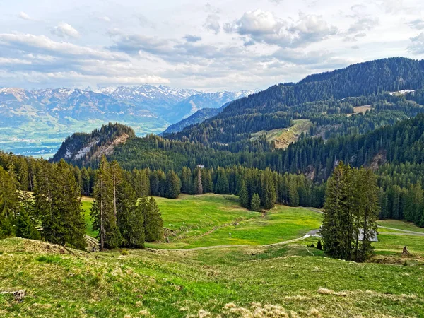 瑞士奥瓦尔登州阿尔卑斯山山脚下Pilatus地块和高山谷地的高山牧场和草原 Kanton Obwalden — 图库照片