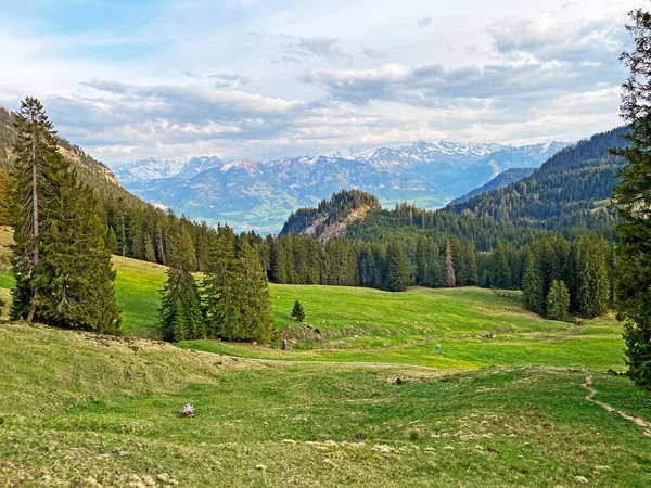 Alpine Pastures Grasslands Slopes Pilatus Massif Alpine Valleys Foot Mountain — Stock Photo, Image