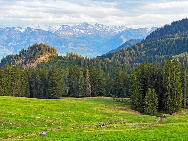 Alpine Pastures Grasslands Slopes Pilatus Massif Alpine Valleys Foot Mountain — стоковое фото