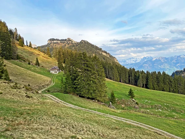 Alpine Pastures Grasslands Slopes Pilatus Massif Alpine Valleys Foot Mountain — стоковое фото