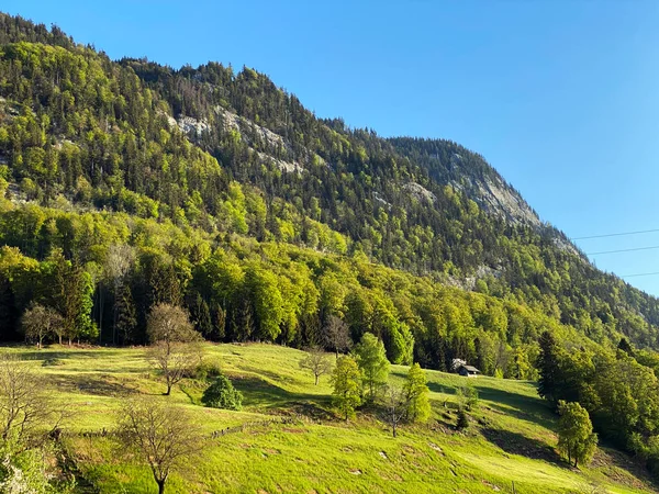 Pilatus Yamaçlarında Dağın Eteğindeki Alt Vadilerde Bulunan Yaprak Döken Yemyeşil — Stok fotoğraf