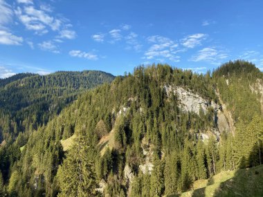 Evergreen ormanı veya kozalaklı ağaçlar Pilatus tepelerinin yamaçlarında ve dağ tepelerinin altındaki dağlık vadilerde, Alpnach - Obwalden Kantonu, İsviçre (Kanton Obwalden, Schweiz)