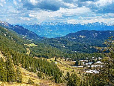 Evergreen ormanı veya kozalaklı ağaçlar Pilatus tepelerinin yamaçlarında ve dağ tepelerinin altındaki dağlık vadilerde, Alpnach - Obwalden Kantonu, İsviçre (Kanton Obwalden, Schweiz)