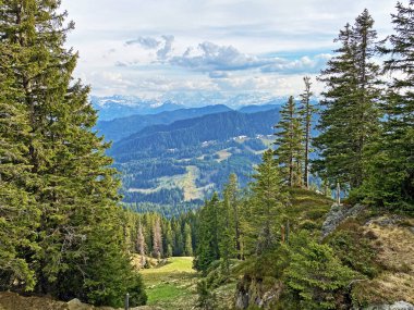 Evergreen ormanı veya kozalaklı ağaçlar Pilatus tepelerinin yamaçlarında ve dağ tepelerinin altındaki dağlık vadilerde, Alpnach - Obwalden Kantonu, İsviçre (Kanton Obwalden, Schweiz)
