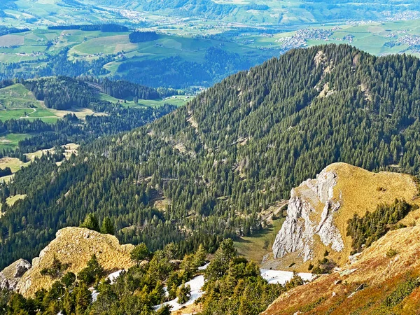 Evergreen ormanı veya kozalaklı ağaçlar Pilatus tepelerinin yamaçlarında ve dağ tepelerinin altındaki dağlık vadilerde, Alpnach - Obwalden Kantonu, İsviçre (Kanton Obwalden, Schweiz)