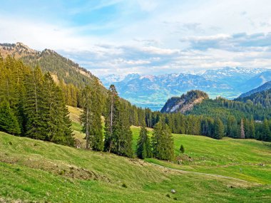 Evergreen ormanı veya kozalaklı ağaçlar Pilatus tepelerinin yamaçlarında ve dağ tepelerinin altındaki dağlık vadilerde, Alpnach - Obwalden Kantonu, İsviçre (Kanton Obwalden, Schweiz)