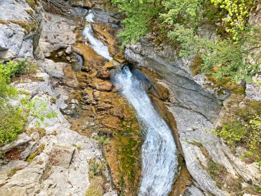 Alp nehrinin şelaleleri ve şelaleleri, Meisibach dağlarının yamaçlarında, Alpnach - Obwalden Kantonu, İsviçre (Kanton Obwalden, Schweiz)
