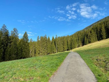 Yürürken, yürürken, spor yaparken ve dinlenirken dağların eteklerindeki dağlık vadilerde, Alpnach - Obwalden Kantonu, İsviçre (Kanton Obwalden, Schweiz)
