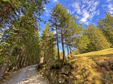 Yürürken, yürürken, spor yaparken ve dinlenirken dağların eteklerindeki dağlık vadilerde, Alpnach - Obwalden Kantonu, İsviçre (Kanton Obwalden, Schweiz)