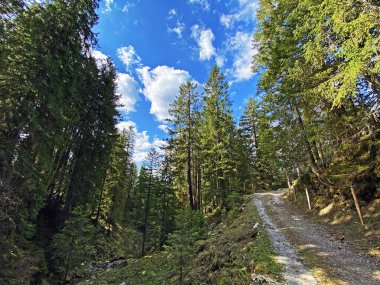 Yürürken, yürürken, spor yaparken ve dinlenirken dağların eteklerindeki dağlık vadilerde, Alpnach - Obwalden Kantonu, İsviçre (Kanton Obwalden, Schweiz)