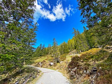 Yürürken, yürürken, spor yaparken ve dinlenirken dağların eteklerindeki dağlık vadilerde, Alpnach - Obwalden Kantonu, İsviçre (Kanton Obwalden, Schweiz)