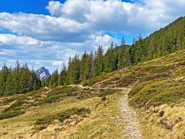 Yürürken, yürürken, spor yaparken ve dinlenirken dağların eteklerindeki dağlık vadilerde, Alpnach - Obwalden Kantonu, İsviçre (Kanton Obwalden, Schweiz)