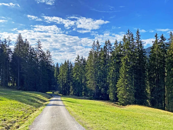 Yürürken, yürürken, spor yaparken ve dinlenirken dağların eteklerindeki dağlık vadilerde, Alpnach - Obwalden Kantonu, İsviçre (Kanton Obwalden, Schweiz)