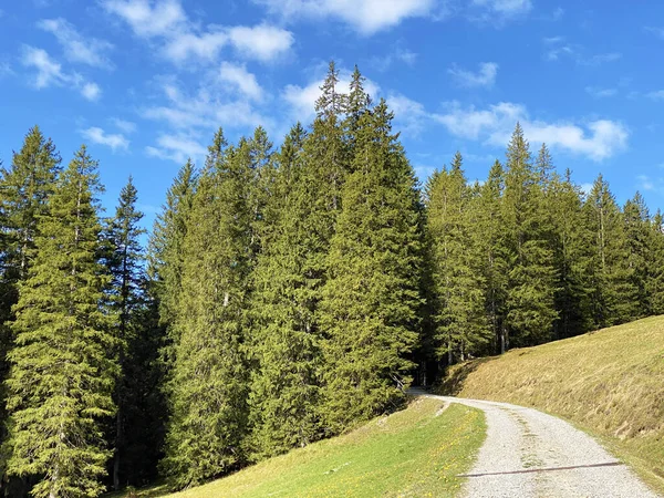 Trails for walking, hiking, sports and recreation on the slopes of the Pilatus massif and in the alpine valleys at the foot of the mountain, Alpnach - Canton of Obwalden, Switzerland (Kanton Obwalden, Schweiz)