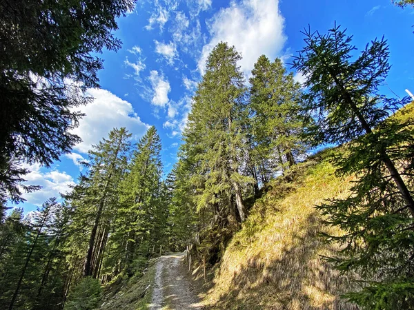 Trails for walking, hiking, sports and recreation on the slopes of the Pilatus massif and in the alpine valleys at the foot of the mountain, Alpnach - Canton of Obwalden, Switzerland (Kanton Obwalden, Schweiz)