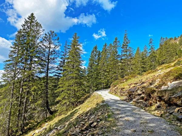 Yürürken, yürürken, spor yaparken ve dinlenirken dağların eteklerindeki dağlık vadilerde, Alpnach - Obwalden Kantonu, İsviçre (Kanton Obwalden, Schweiz)