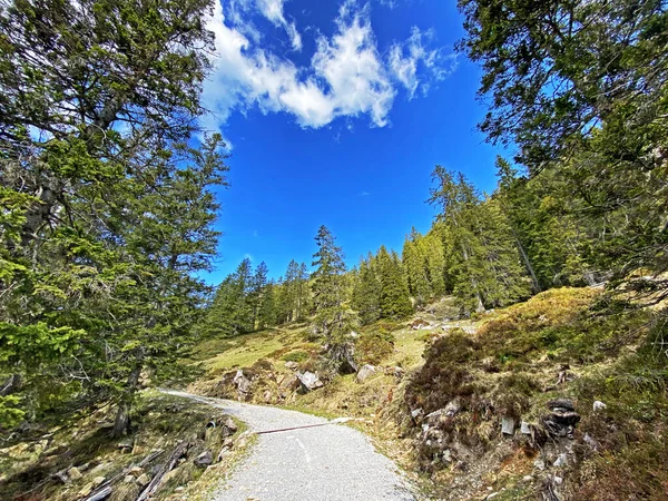 Yürürken, yürürken, spor yaparken ve dinlenirken dağların eteklerindeki dağlık vadilerde, Alpnach - Obwalden Kantonu, İsviçre (Kanton Obwalden, Schweiz)
