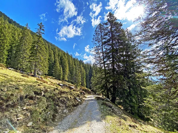 Trails for walking, hiking, sports and recreation on the slopes of the Pilatus massif and in the alpine valleys at the foot of the mountain, Alpnach - Canton of Obwalden, Switzerland (Kanton Obwalden, Schweiz)