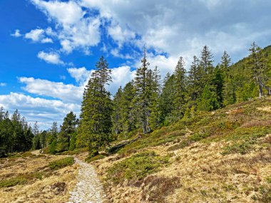 Pilatus 'un yamaçlarında ve dağın eteğindeki dağlık vadilerde yürüyüş, yürüyüş, spor ve dinlenme yolları, Alpnach - Obwalden Kantonu, İsviçre (Schweiz)