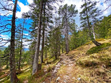 Pilatus 'un yamaçlarında ve dağın eteğindeki dağlık vadilerde yürüyüş, yürüyüş, spor ve dinlenme yolları, Alpnach - Obwalden Kantonu, İsviçre (Schweiz)