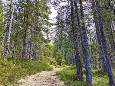Pilatus 'un yamaçlarında ve dağın eteğindeki dağlık vadilerde yürüyüş, yürüyüş, spor ve dinlenme yolları, Alpnach - Obwalden Kantonu, İsviçre (Schweiz)