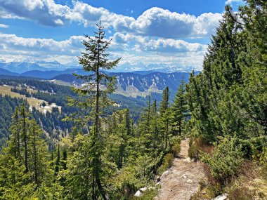 Pilatus 'un yamaçlarında ve dağın eteğindeki dağlık vadilerde yürüyüş, yürüyüş, spor ve dinlenme yolları, Alpnach - Obwalden Kantonu, İsviçre (Schweiz)