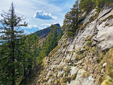 Pilatus 'un yamaçlarında ve dağın eteğindeki dağlık vadilerde yürüyüş, yürüyüş, spor ve dinlenme yolları, Alpnach - Obwalden Kantonu, İsviçre (Schweiz)