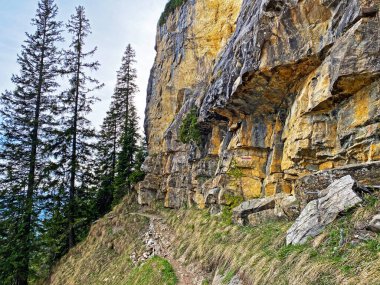 Pilatus 'un yamaçlarında ve dağın eteğindeki dağlık vadilerde yürüyüş, yürüyüş, spor ve dinlenme yolları, Alpnach - Obwalden Kantonu, İsviçre (Schweiz)