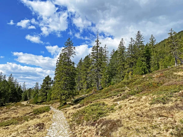 Wander Sport Und Erholungswege Den Hängen Des Pilatus Massivs Und — Stockfoto