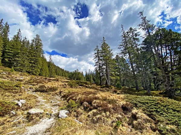 Trails for walking, hiking, sports and recreation on the slopes of the Pilatus massif and in the alpine valleys at the foot of the mountain, Alpnach - Canton of Obwalden, Switzerland (Schweiz)