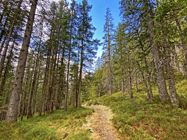 Trails for walking, hiking, sports and recreation on the slopes of the Pilatus massif and in the alpine valleys at the foot of the mountain, Alpnach - Canton of Obwalden, Switzerland (Schweiz)