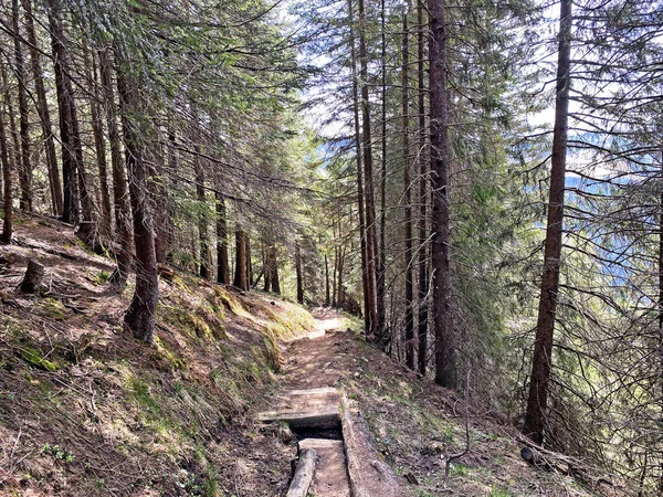 Trails Walking Hiking Sports Recreation Slopes Pilatus Massif Alpine Valleys — Stock Photo, Image
