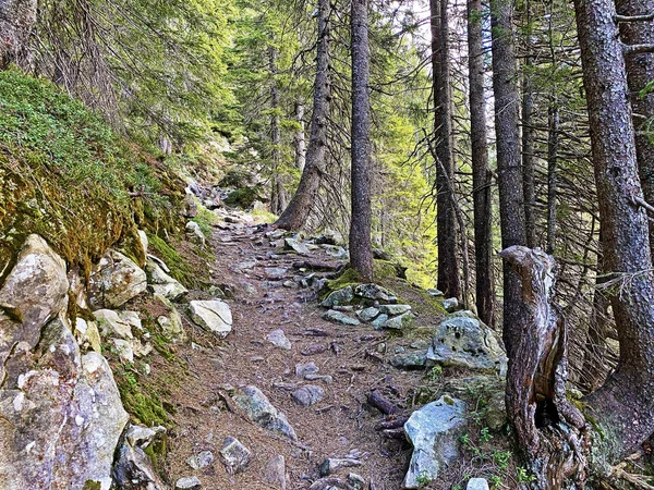 Trails Walking Hiking Sports Recreation Slopes Pilatus Massif Alpine Valleys — Stock Photo, Image