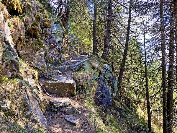 Trails for walking, hiking, sports and recreation on the slopes of the Pilatus massif and in the alpine valleys at the foot of the mountain, Alpnach - Canton of Obwalden, Switzerland (Schweiz)