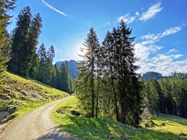 Gökyüzü ve güneş, Alpnach - Obwalden Kantonu, İsviçre (Kanton Obwalden, Schweiz)