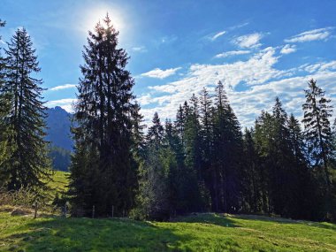 Gökyüzü ve güneş, Alpnach - Obwalden Kantonu, İsviçre (Kanton Obwalden, Schweiz)