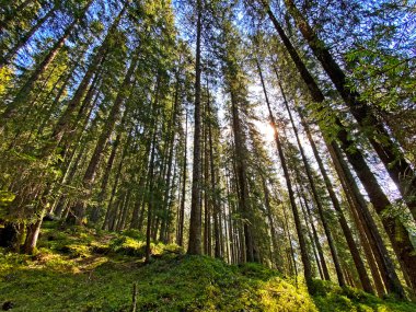 Gökyüzü ve güneş, Alpnach - Obwalden Kantonu, İsviçre (Kanton Obwalden, Schweiz)