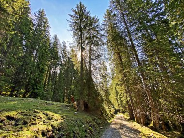 Gökyüzü ve güneş, Alpnach - Obwalden Kantonu, İsviçre (Kanton Obwalden, Schweiz)