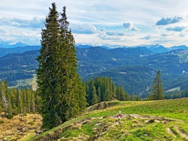 Pilatus dağ sırasının tepe ve yamaçlarında ve Emmental Alpler, Alpnach - Obwalden Kantonu, İsviçre (Kanton Obwalden, Schweiz)