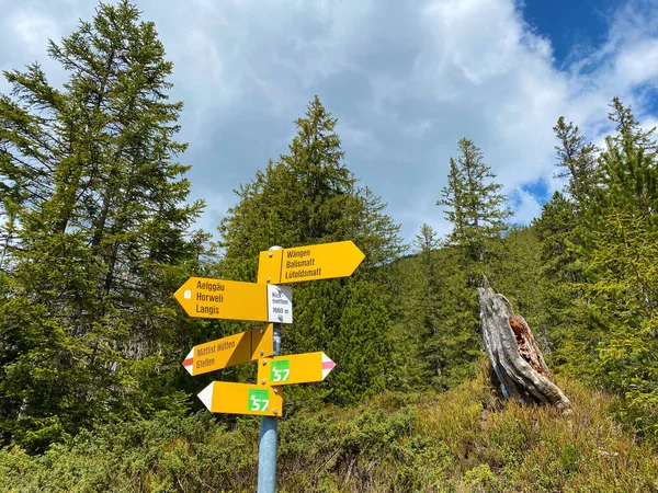 Bergbeklimmerborden Markeringen Toppen Hellingen Van Pilatus Bergketen Emmental Alpen Alpnach — Stockfoto