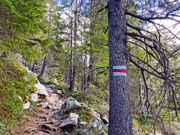 瑞士奥沃尔登州阿尔卑斯山区 坎顿奥沃尔登州 施韦兹 Pilatus山脉山峰和山坡上的登山牌和标志 — 图库照片