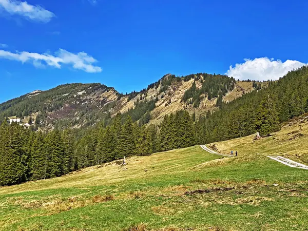 Alpské Vrcholy Staefeliflue Nebo Stafeliflue Hengst Švýcarském Pohoří Pilatus Emmentálních — Stock fotografie