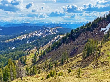 Pilatus dağ sırasının yamaçlarında kış ve karın son kalıntılarıyla ilkbahar atmosferi, Alpnach - Obwalden Kantonu, İsviçre (Kanton Obwalden, Schweiz)