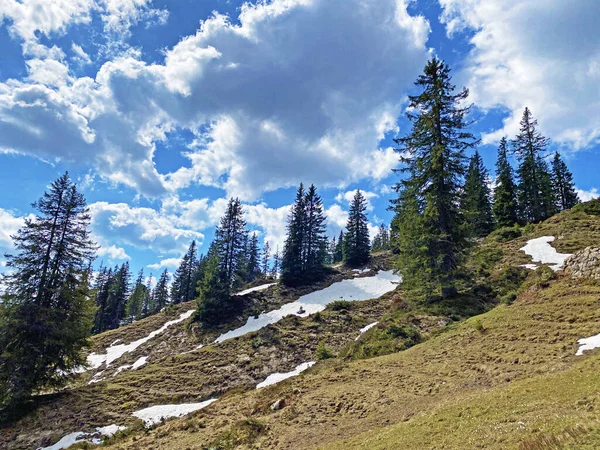 冬の最後の残りとピラトゥス山脈の斜面に雪と早春の雰囲気 アルパチ オバルデンのカントン スイス カントンObwalden スイス — ストック写真