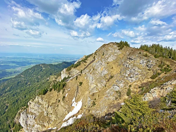 Pilatus dağ sırasının yamaçlarında kış ve karın son kalıntılarıyla ilkbahar atmosferi, Alpnach - Obwalden Kantonu, İsviçre (Kanton Obwalden, Schweiz)