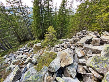 İsviçre 'nin Pilatus sıradağlarında ve Emmental Alplerde, Alpnach - Obwalden Kantonu, İsviçre (Kanton Obwalden, Schweiz)