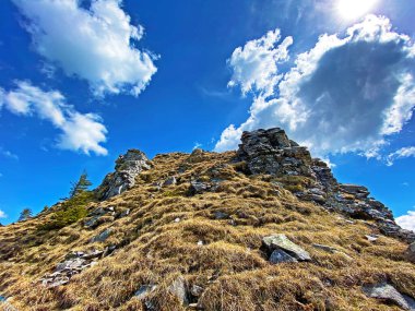 İsviçre 'nin Pilatus sıradağlarında ve Emmental Alplerde, Alpnach - Obwalden Kantonu, İsviçre (Kanton Obwalden, Schweiz)