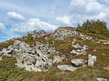 İsviçre 'nin Pilatus sıradağlarında ve Emmental Alplerde, Alpnach - Obwalden Kantonu, İsviçre (Kanton Obwalden, Schweiz)