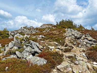 İsviçre 'nin Pilatus sıradağlarında ve Emmental Alplerde, Alpnach - Obwalden Kantonu, İsviçre (Kanton Obwalden, Schweiz)