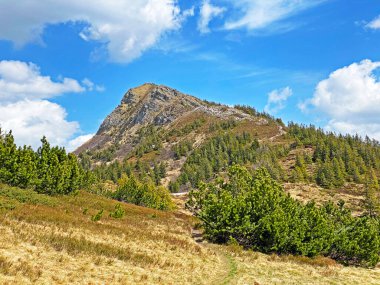 İsviçre 'nin Pilatus ve Emmental Alpler, Alpnach - İsviçre' nin Obwalden Kantonu 'nda (Kanton Obwalden, Schweiz)